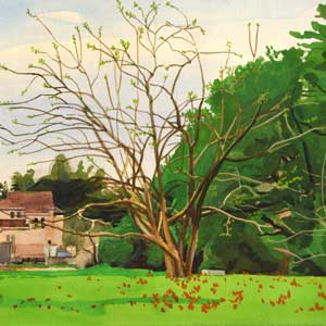 the mulberry tree/gouasche on paper/220*273mm