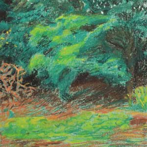 the backyard/pastel on paper/360*237mm