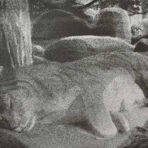 sleeping tiger, No.5/lithograph/205*310mm (image)