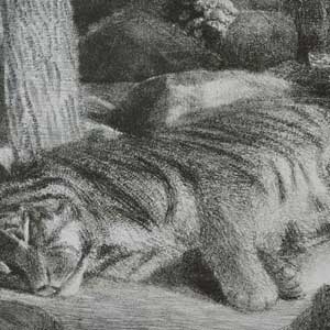 sleeping tiger, No.3/lithograph/205*310mm (image)
