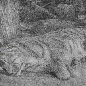 sleeping tiger, No.2/lithograph/205*310mm (image)