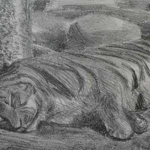 sleeping tiger, No.1/lithograph/205*310mm (image)